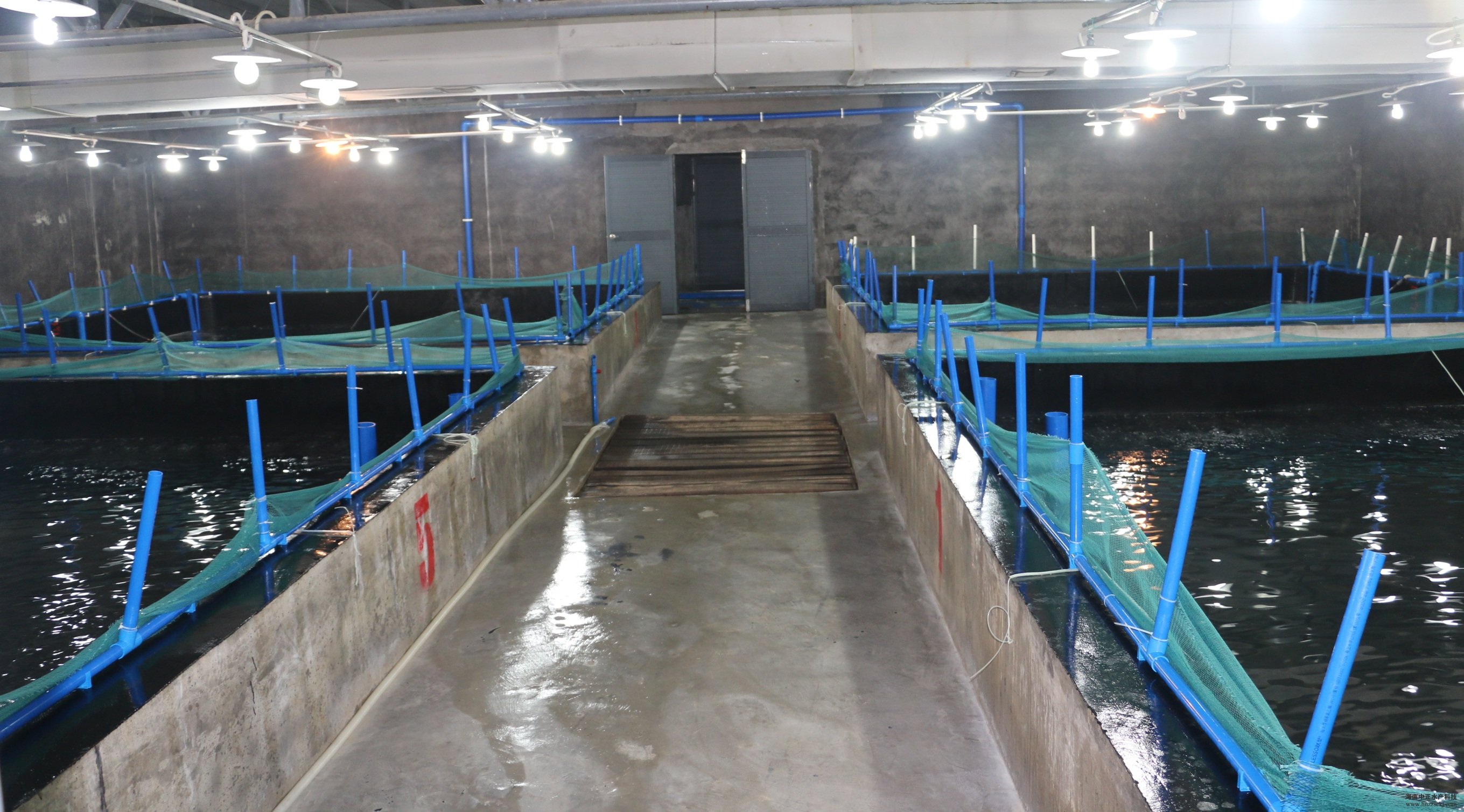 标准化母虾车间