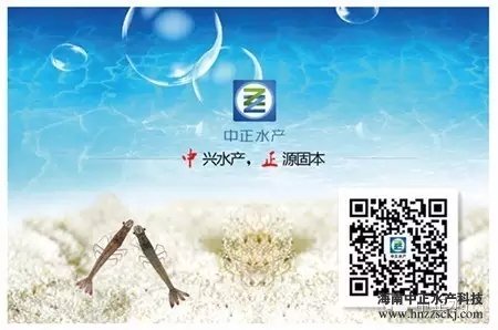 说明: C:\Users\dell\Desktop\640.webp.jpg