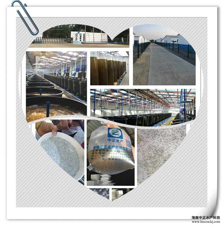 说明: C:\Users\dell\Desktop\764359668_副本1_副本.jpg